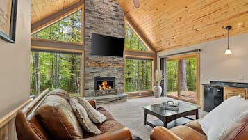 TV connectée, cheminée, livres, chaßne hi-fi