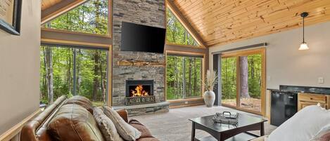 Smart TV, fireplace, books, stereo