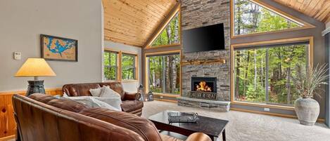 TV connectée, cheminée, livres, chaîne hi-fi