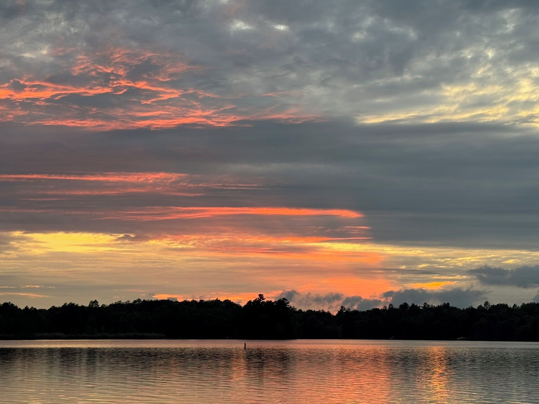 Un atardecer sobre un cuerpo de agua con una orilla boscosa.