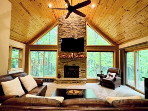 Smart TV, fireplace, books, stereo