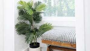 Un coin avec un banc blanc, une plante en pot et un panneau fixé au mur.