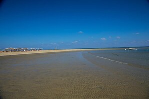 A beach with a clear sky, a sandy shore, and a few umbrellas.