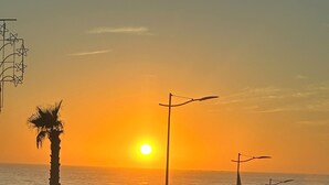 Sonnenuntergang mit Palmen und geparkten Autos am Strand.