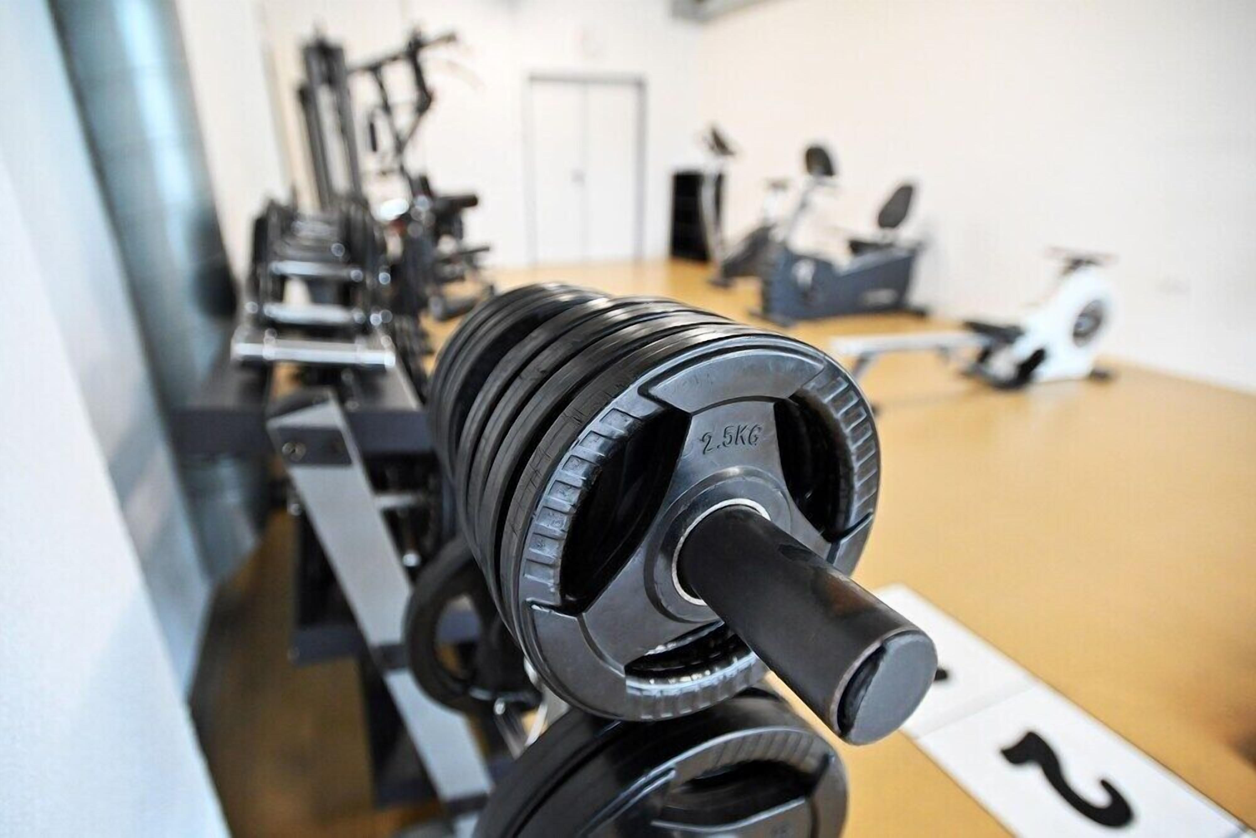 A gym with a row of dumbbells on a rack.