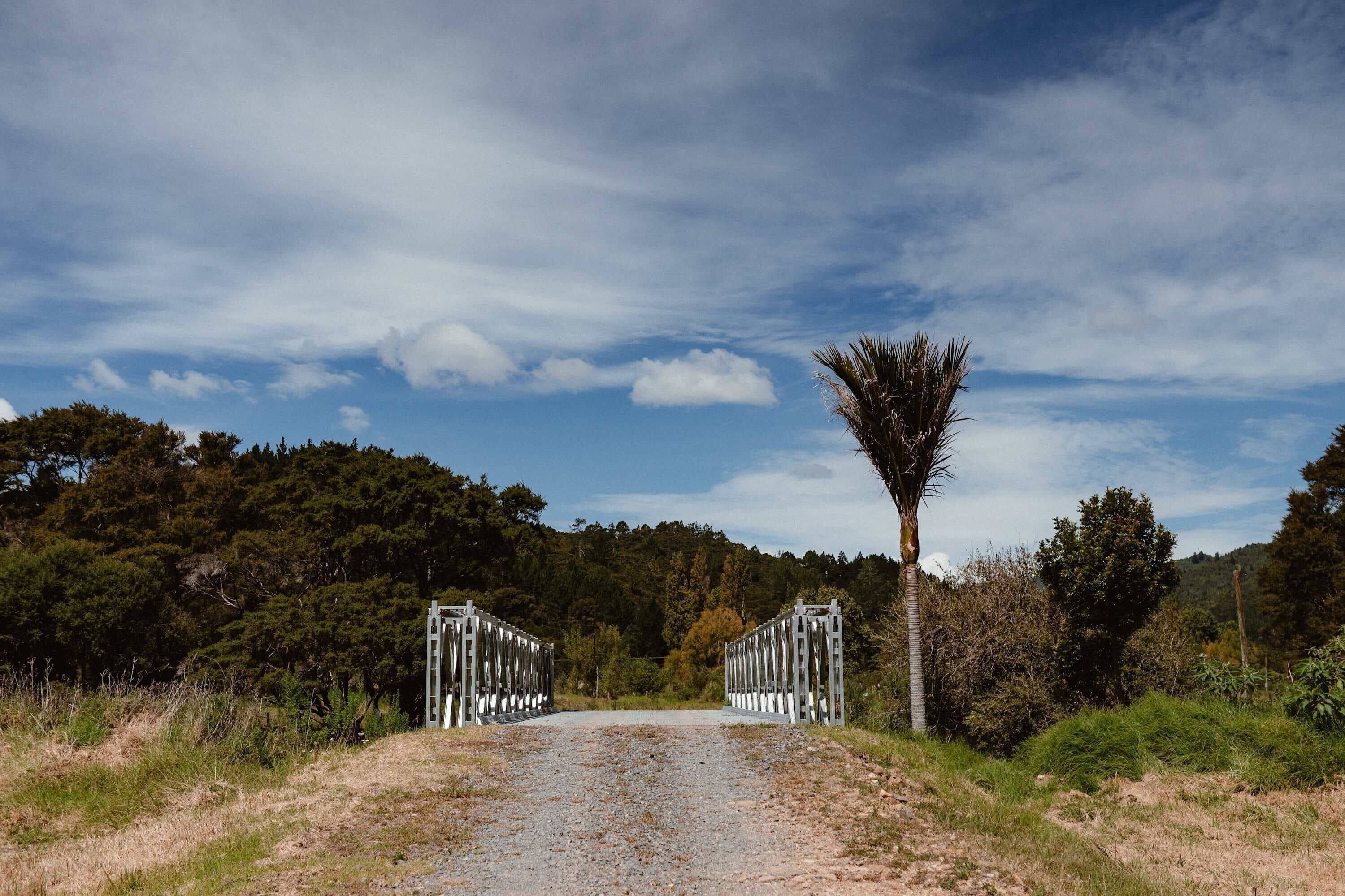 Ein Feldweg führt zu einem verschlossenen Eingangstor, im Hintergrund sind eine Palme und dichter Wald zu sehen.