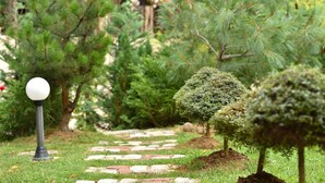 A stone pathway in a garden with trimmed bushes and a spherical lamp post. - 6ato Hotel Sofia (Sofia)