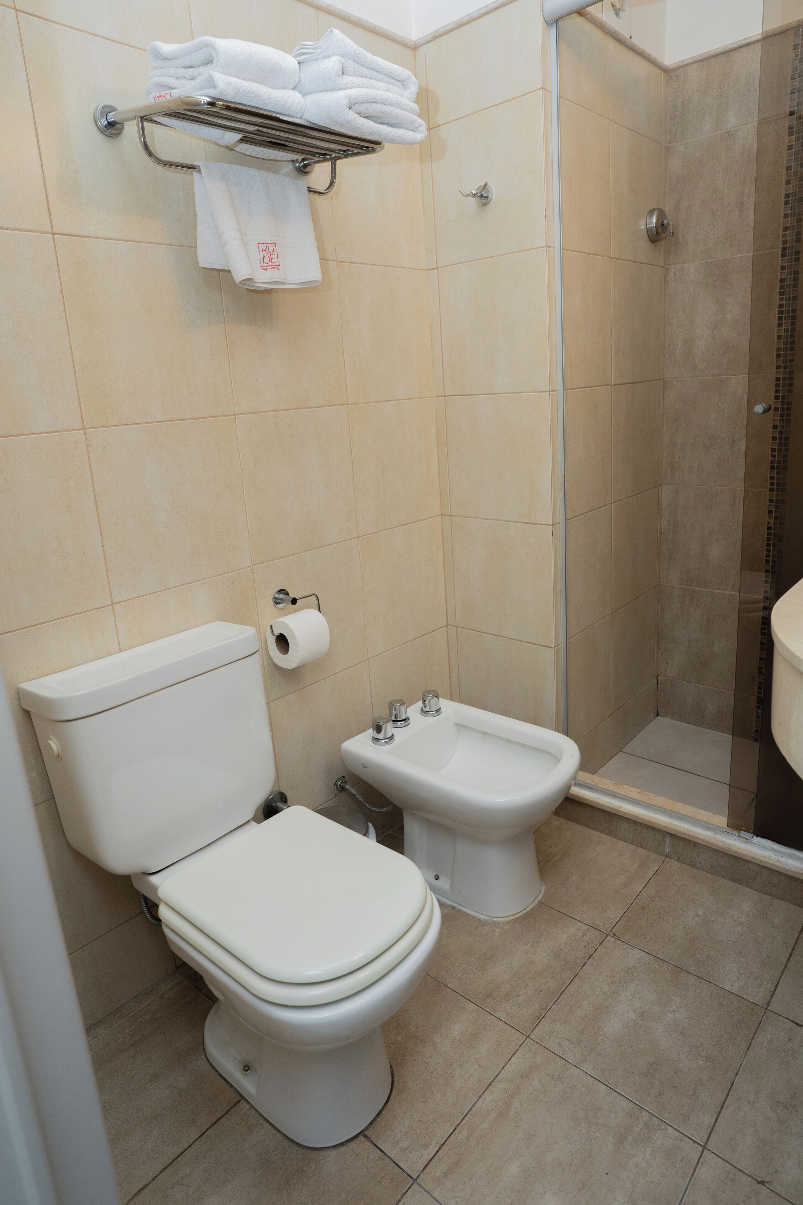 A bathroom with a toilet, bidet, and a shower area.