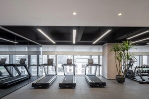 A gym with treadmills, exercise bikes, and a large potted plant.