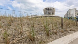 Ein modernes Gebäude mit einem einzigartigen geometrischen Design, umgeben von einer Rasenfläche und einer Betonbarriere.