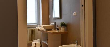 A modern bathroom with a large mirror, a sink, a bidet, and a radiator.