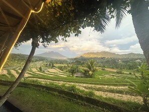 Vista desde la propiedad