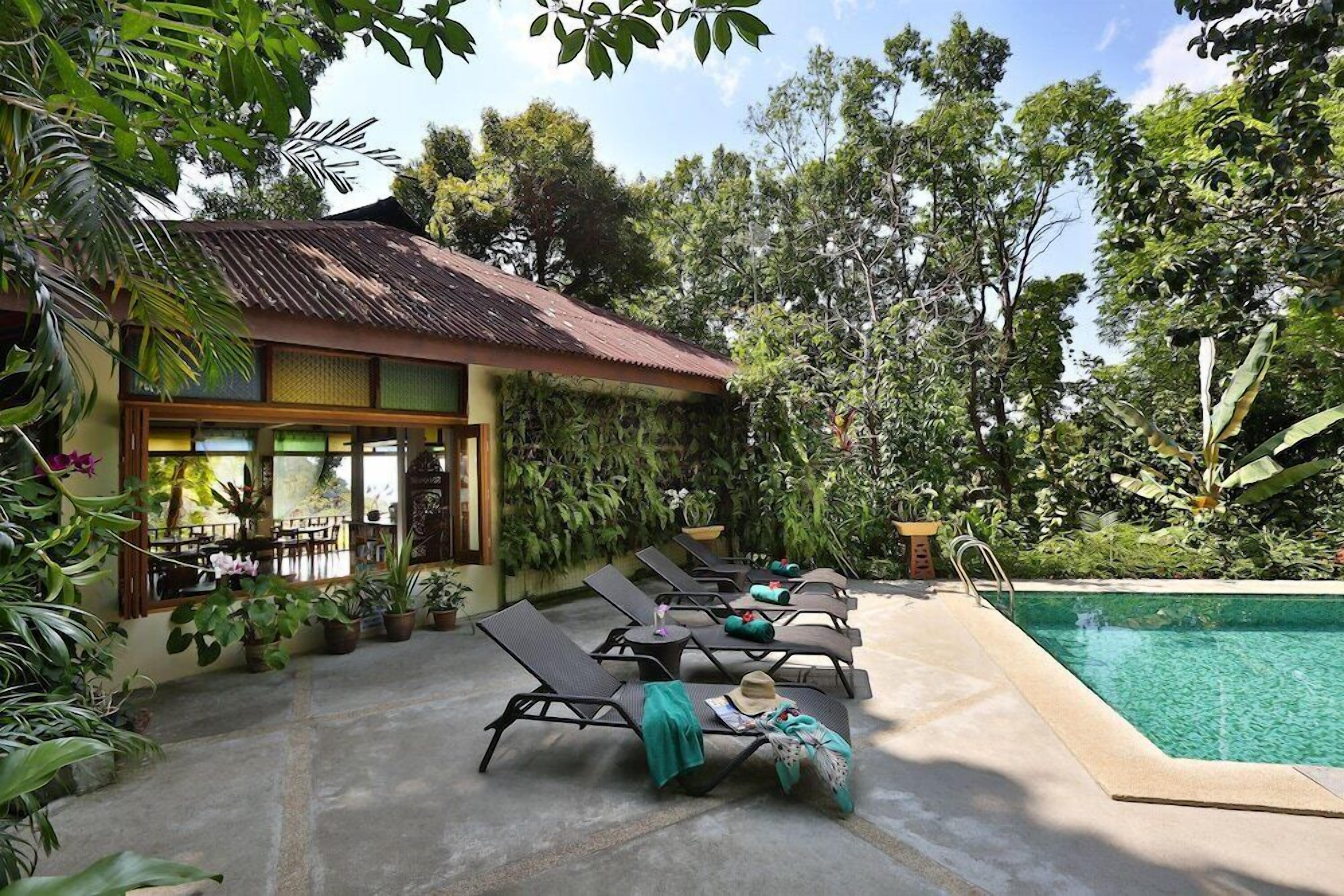 A poolside area with lounge chairs, a small pool, and lush greenery.