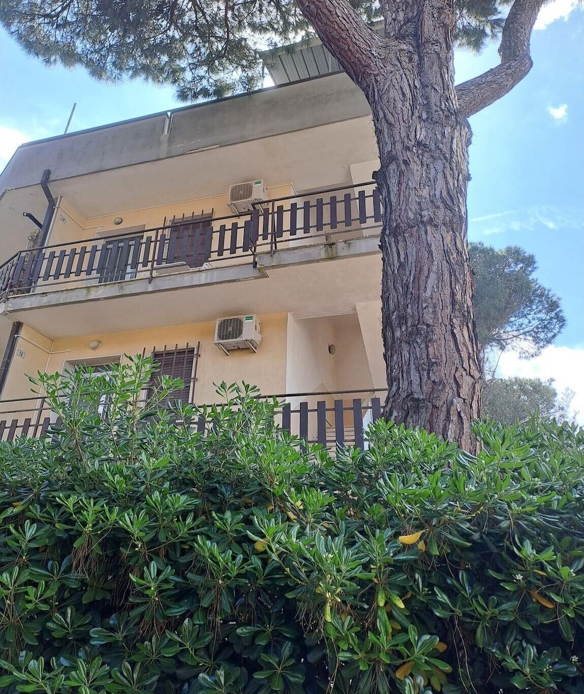 Un edificio a più piani con balconi, condizionatori d'aria e un grande albero di fronte.