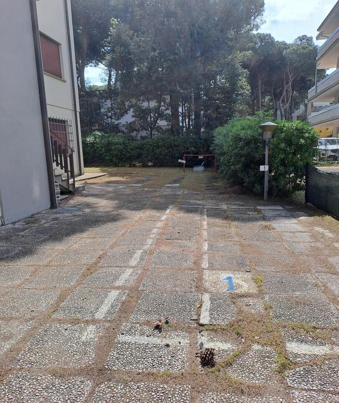 Un cortile con un vialetto in ghiaia che conduce all'ingresso di un edificio, circondato da alberi e vegetazione.