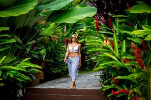 Property grounds - Nayara Gardens (San José)