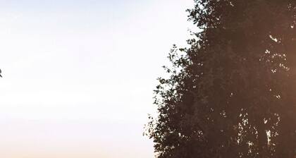 Cozy house in the hills of Parma, with garden and a beautiful pool