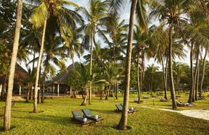 Een resort met palmbomen, ligbedden en een gebouw met rieten dak.