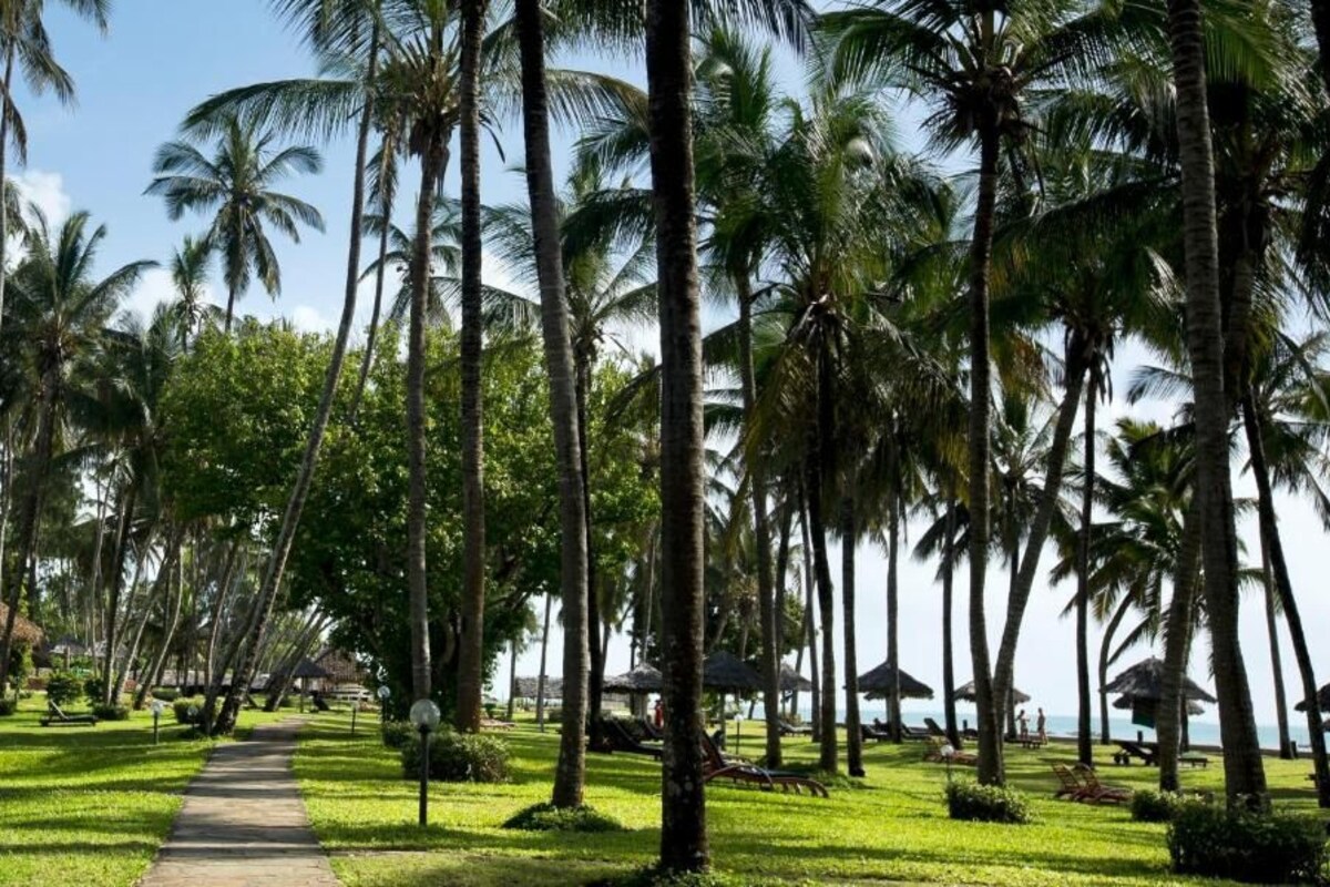 Camino bordeado de palmeras que lleva a cabañas frente a la playa.