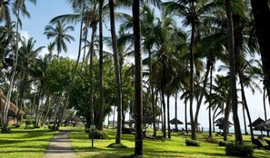 A pathway lined with palm trees leading to beachside huts. - Neptune Village Beach Resort & Spa (Diani Beach)