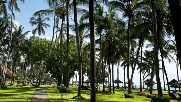 A pathway lined with palm trees leading to beachside huts. - Neptune Village Beach Resort & Spa (Diani Beach)