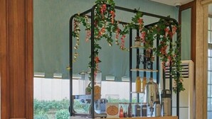 A restaurant interior with a wooden dining table, orange chairs, a counter with shelves, and hanging plants. - Regent Hotel Andheri (Mumbai)