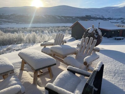 Live in the realm of the musk oxen on Dovrefjell