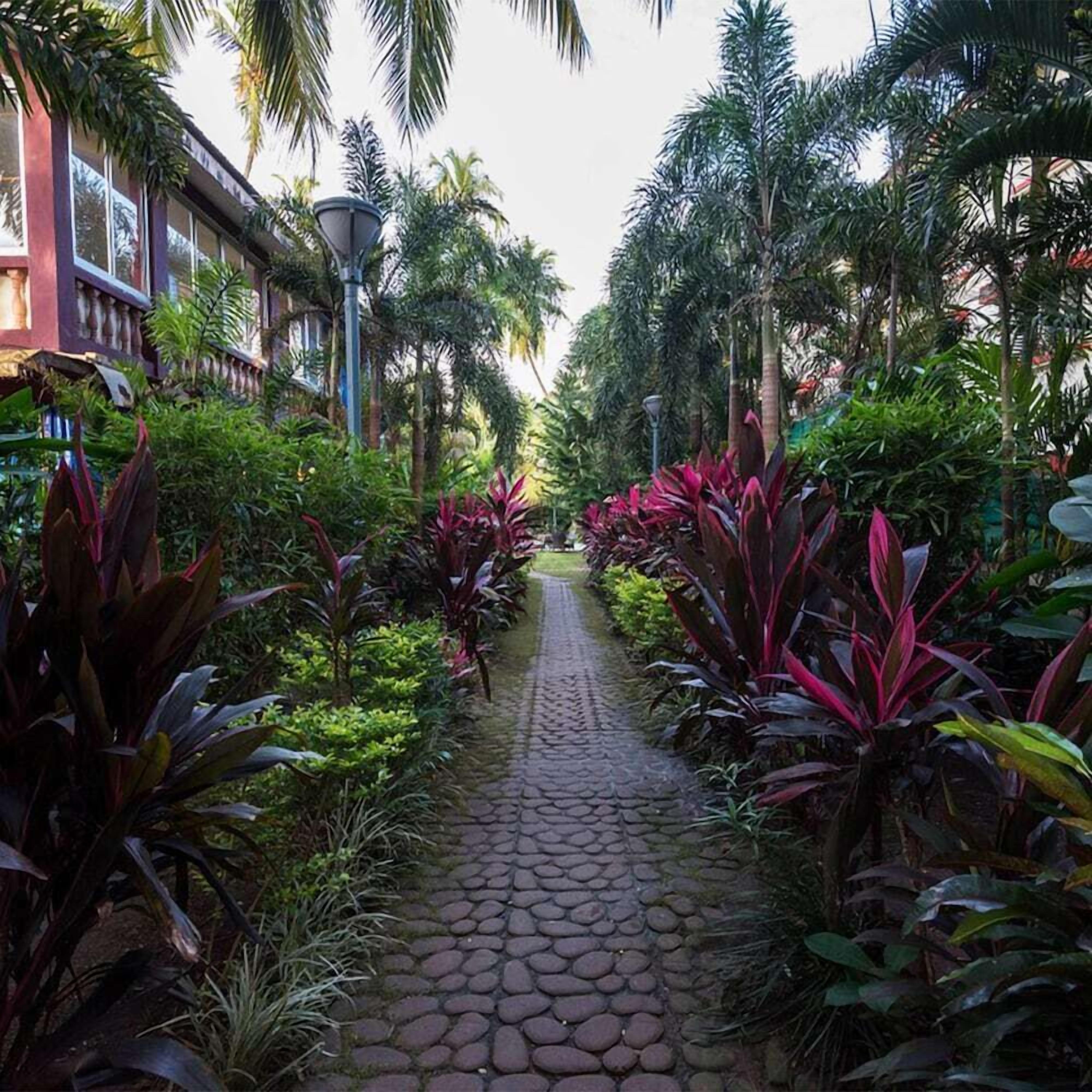 A paved pathway flanked by lush greenery and palm trees, leading towards a building with a red facade and large windows.
