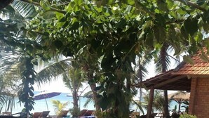 Eine möblierte Terrasse mit Tisch und Stühlen, umgeben von üppiger Vegetation und Palmen, mit Blick auf einen Strand.
