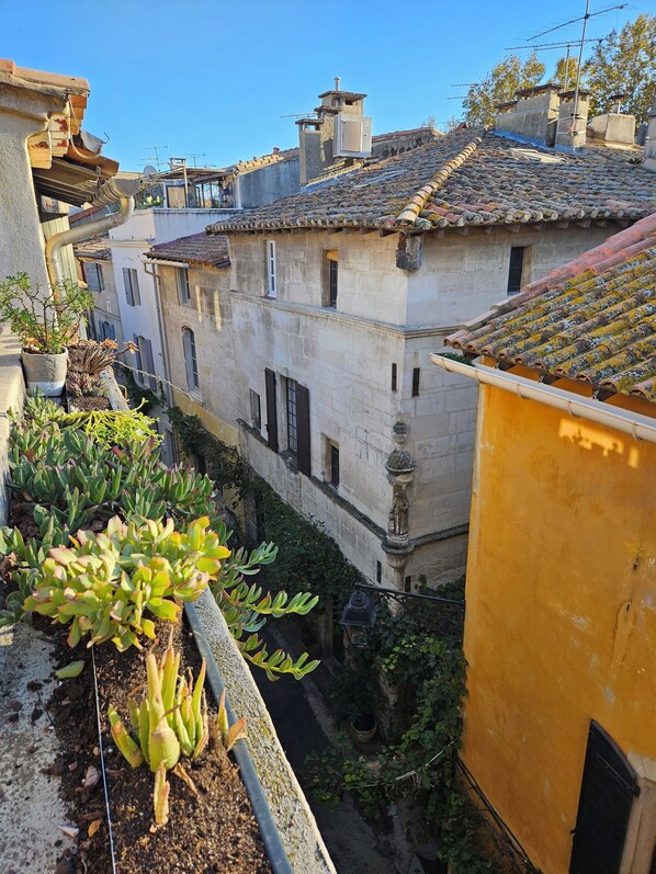 Property grounds - La maison de Gena (Arles)