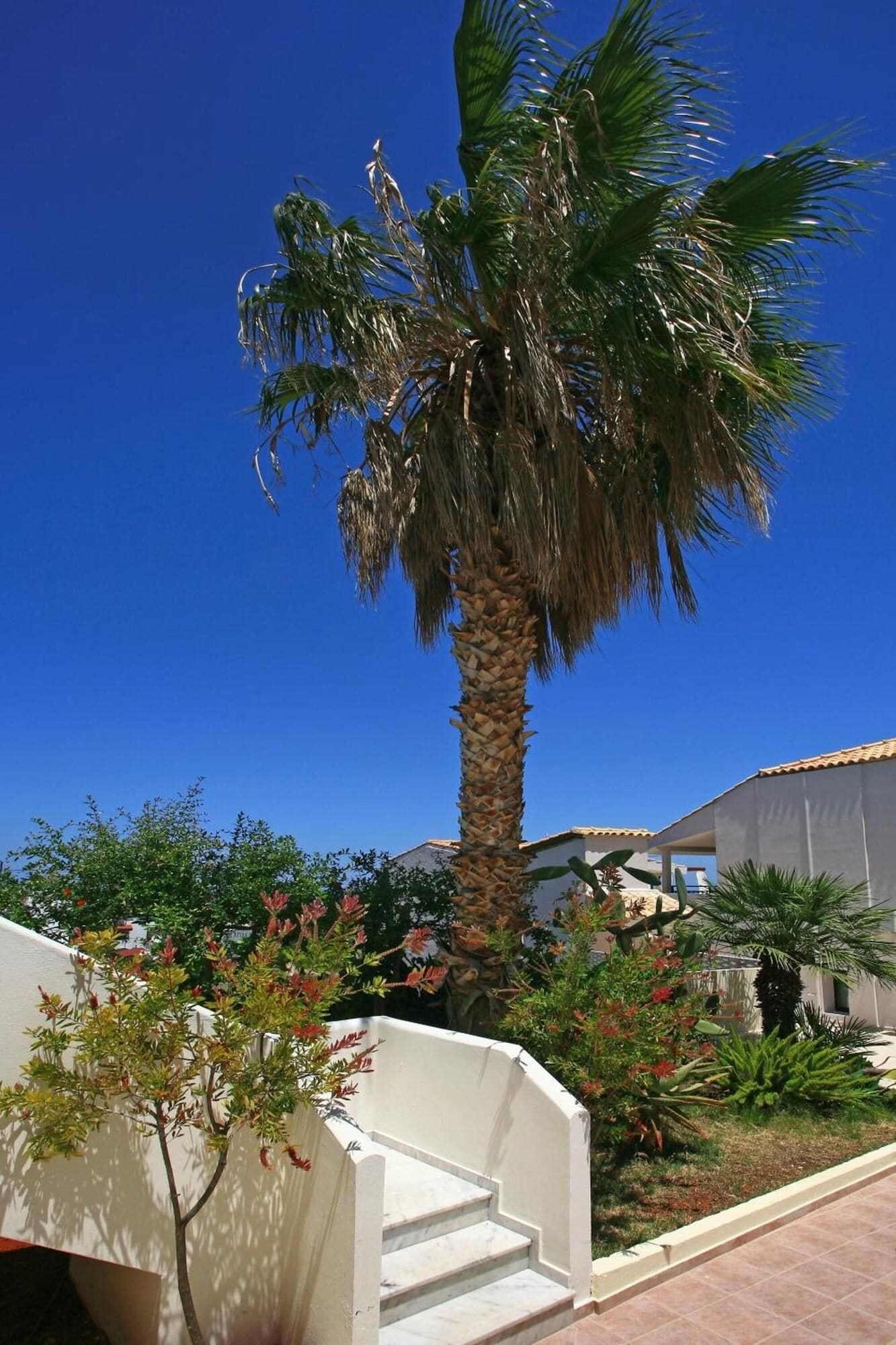 A palm tree, a staircase, and a building with a tiled roof.