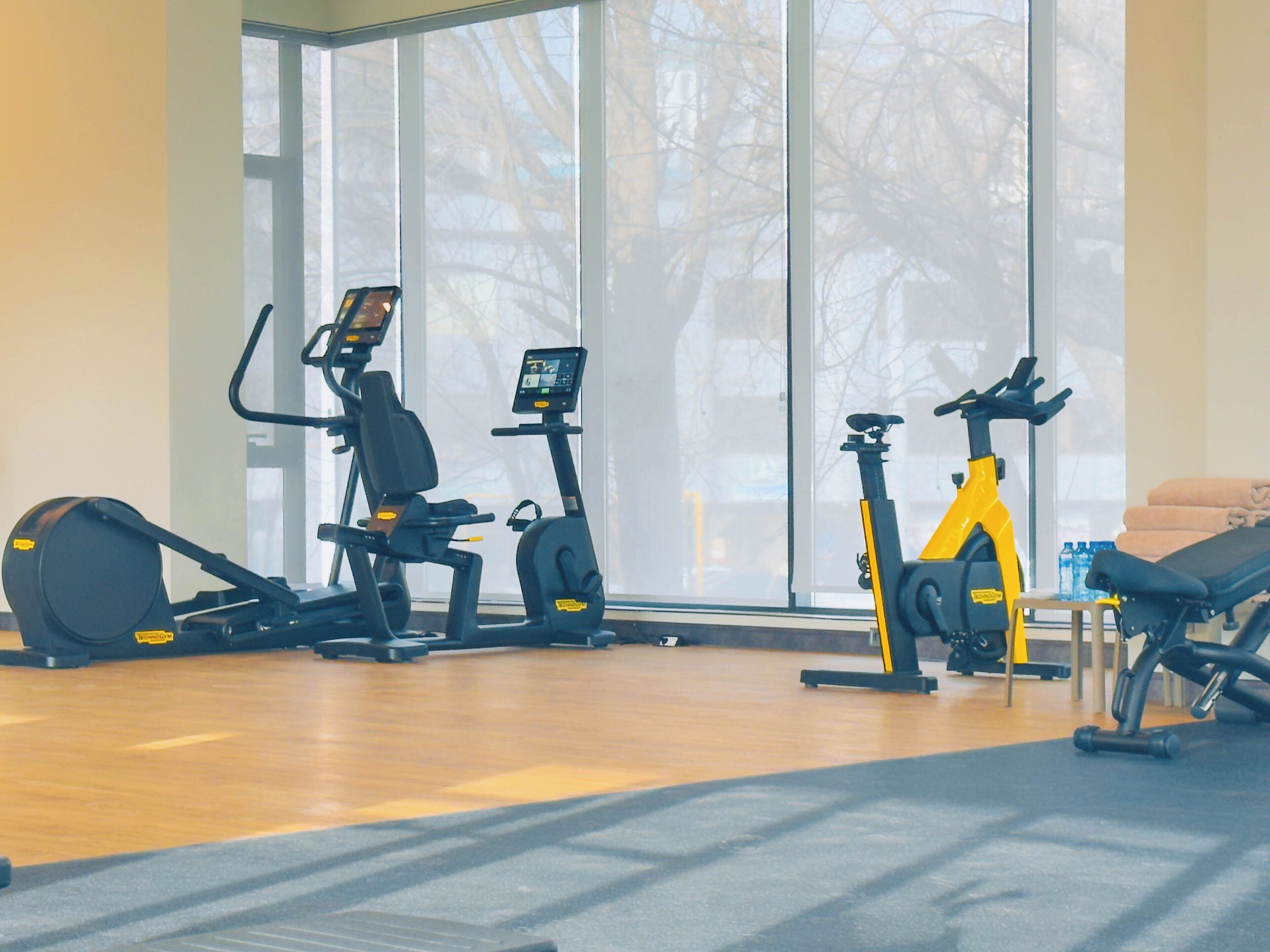 A gym with cardio machines, a bench, and a large window with a view of trees.