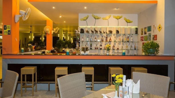 Un espace bar avec un comptoir en verre où sont exposées différentes bouteilles et un mur décoré de figurines d’animaux. On y trouve des chaises en osier et une table sur laquelle est posé un vase rempli de fleurs jaunes.