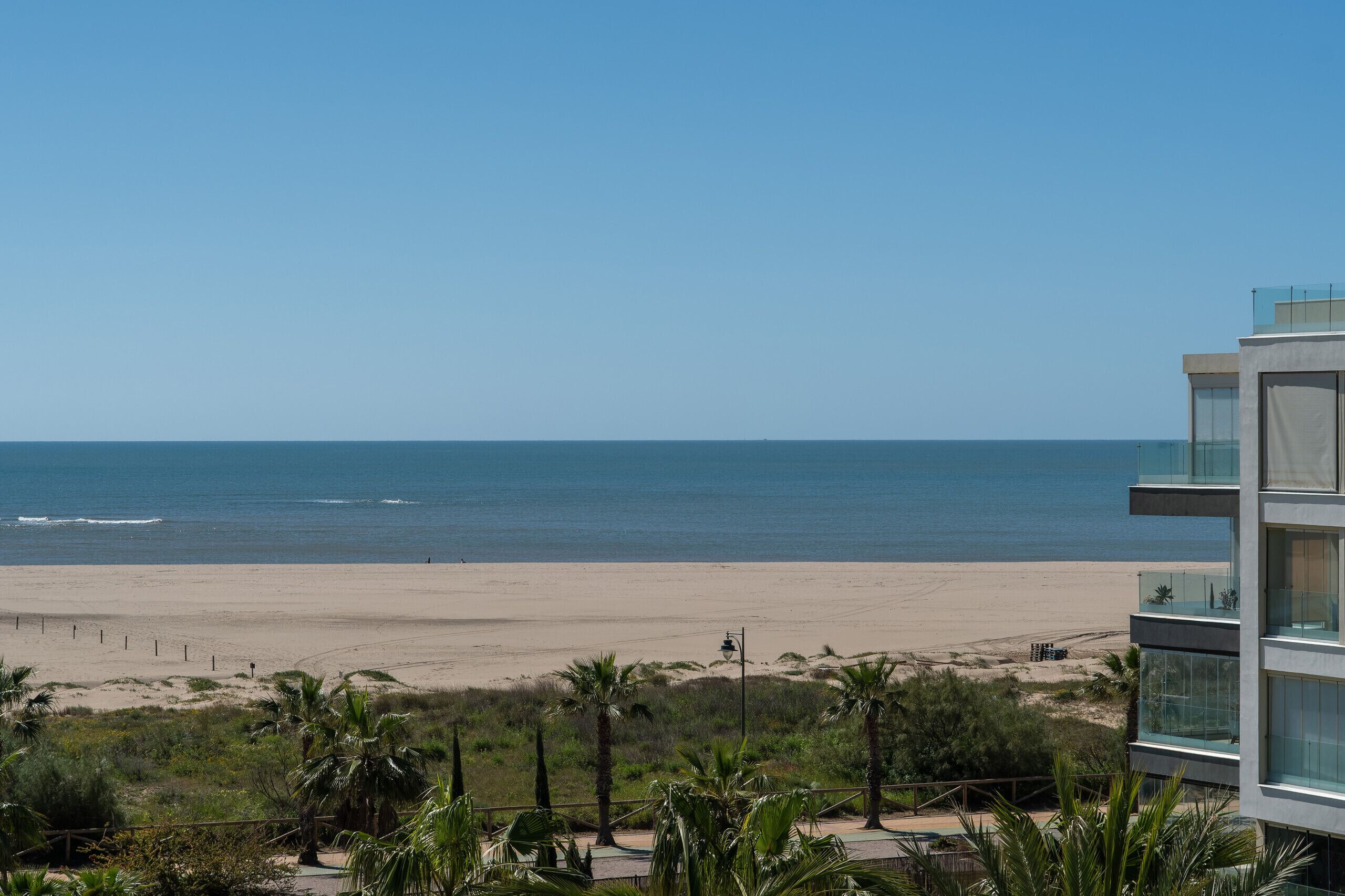 Un hôtel situé en bord de mer, offrant une vue sur l’océan, une plage de sable et des palmiers.