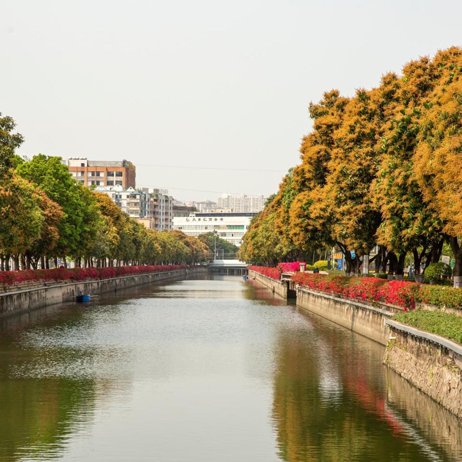 A canal with trees and buildings in the background.