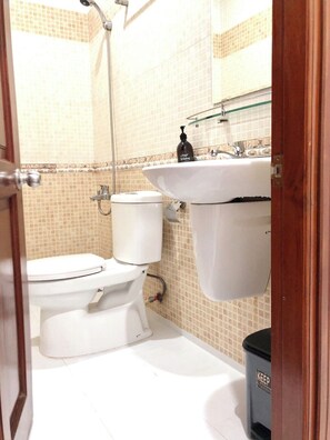 Un baño con inodoro, lavabo y ducha.