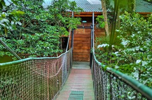 Property grounds - Monteverde Luxury Hotel (Monteverde)