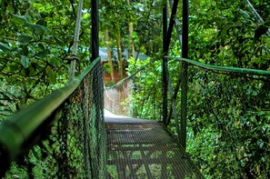 Property grounds - Monteverde Luxury Hotel (Monteverde)