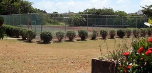 Sport court - Chenay Bay Beach Resort (Christiansted)