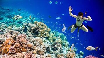 A person scuba diving among coral reefs and fish.
