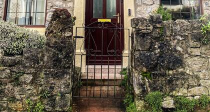 Mumbles Cottage like House- 4 Perfect Walks & Dogs