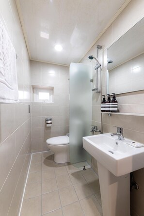 Un baño moderno con inodoro, ducha y lavabo.