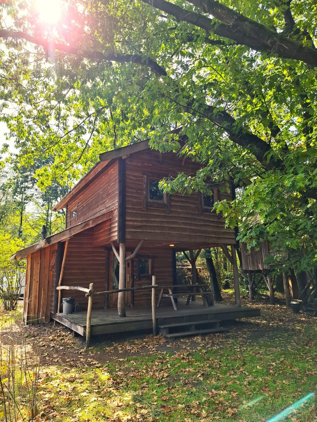 Een rustieke hut met een houten gevel, een veranda en een boomhuis in de buurt.