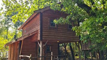 Een rustieke hut met een houten gevel, een veranda en een boomhuis in de buurt.