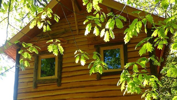 A wooden cabin with a porch, a door, and a window. - Boshuis Dora met Escapespel | Recreatiepark  d`n Mastendol (Rijen)