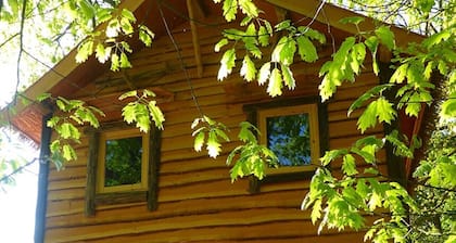 Boshuis Dora met Escapespel | Recreatiepark d`n Mastendol