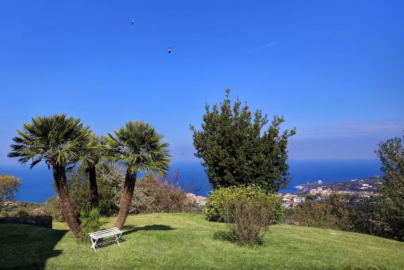A grassy area with a bench, palm trees, and a view of the sea and distant buildings.
