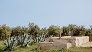 Een betonnen constructie met een plat dak, omgeven door agaveplanten en bomen.