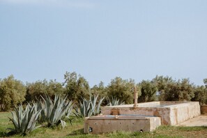 Property grounds - Essentia Vendicari - exclusive villa with pool (Noto)