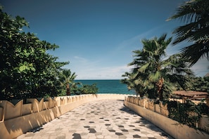 Un camino pavimentado que conduce a una playa con palmeras y un cielo azul despejado.